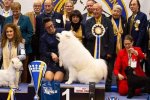 Best in Show Le Mans 2023
